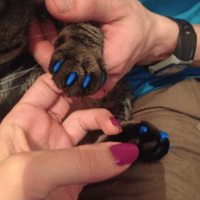 SoftPaws Silicone Cat Nail Caps