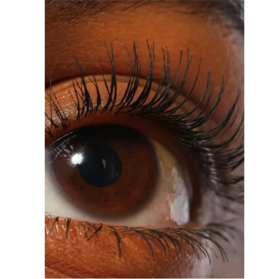 REFY Lash Sculpt