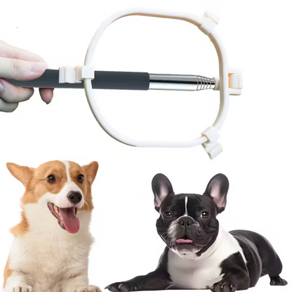 Foldable Pet Toilet